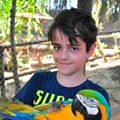 Perfil