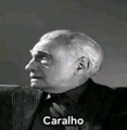 Perfil