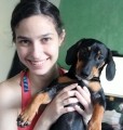 Perfil