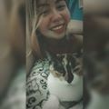 Perfil