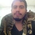 Perfil