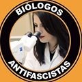 Perfil